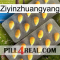 Ziyinzhuangyang cialis2